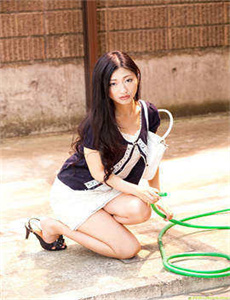 《欧美高清DVD-大美书网没有弹窗2023》